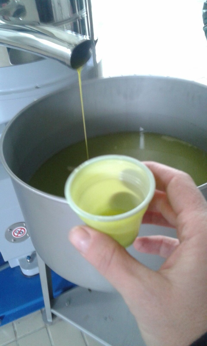 Come riconoscere l'olio extra vergine di oliva